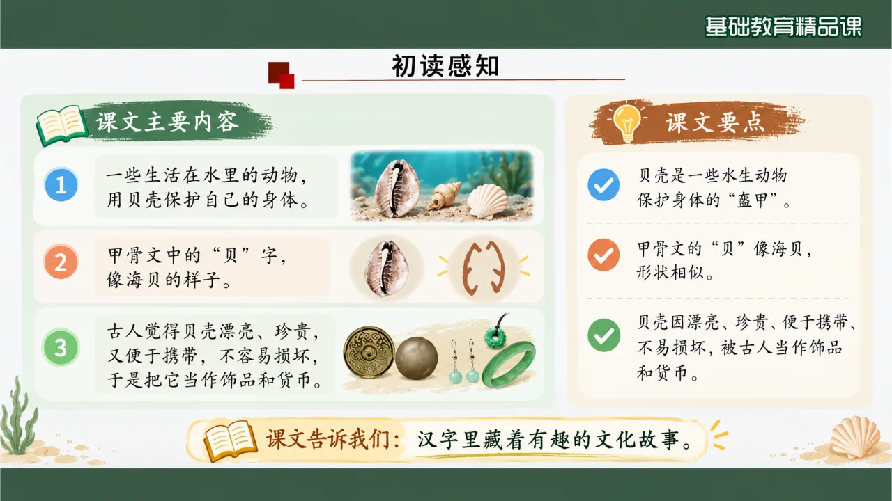 《“贝”的故事》课件第4页缩略图