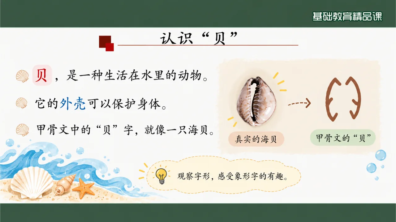 《“贝”的故事》课件第7页缩略图