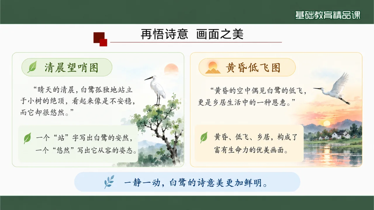 《白鹭》课件第10页缩略图