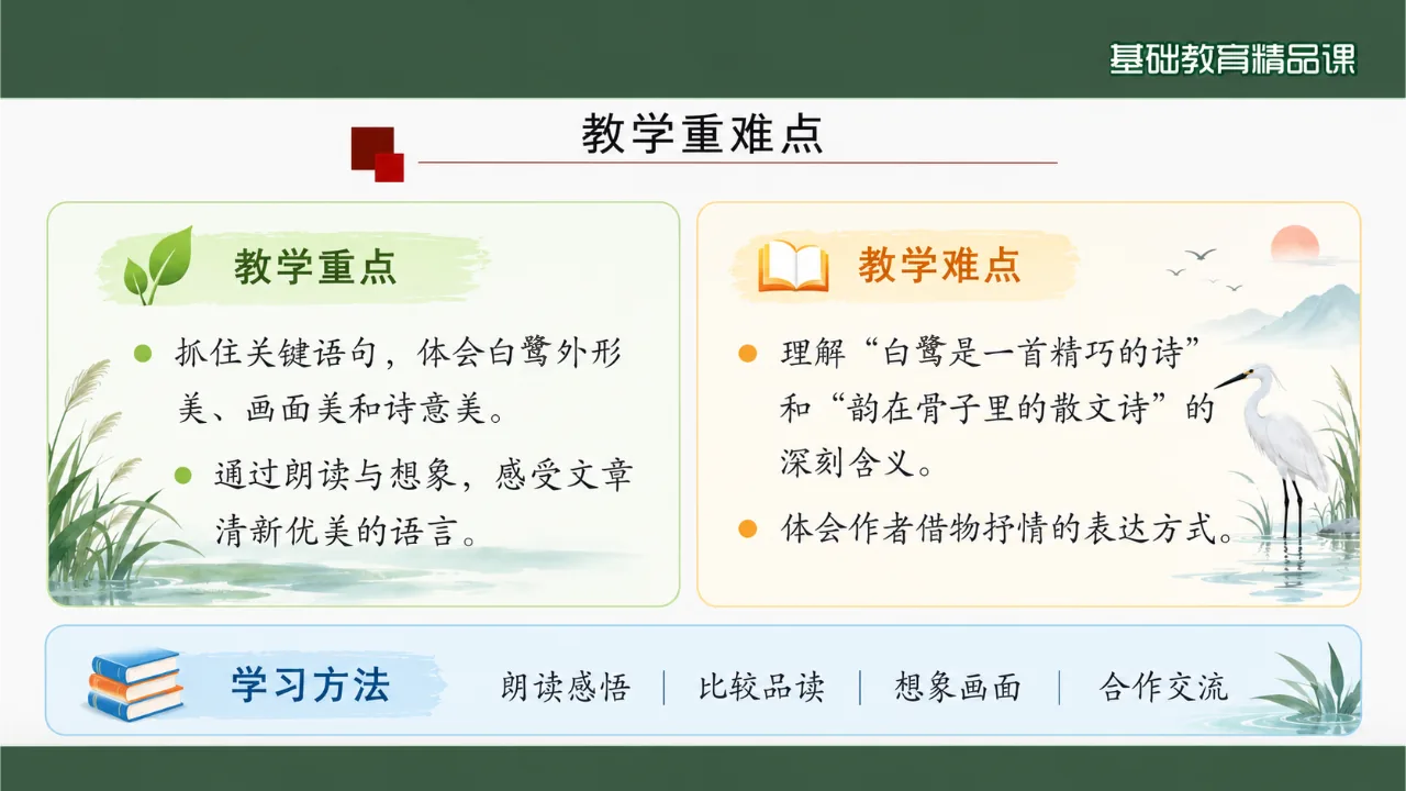 《白鹭》课件第4页缩略图