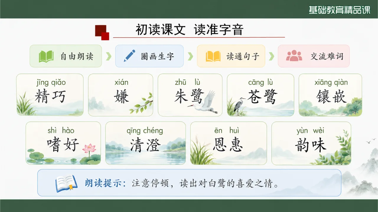 《白鹭》课件第5页缩略图