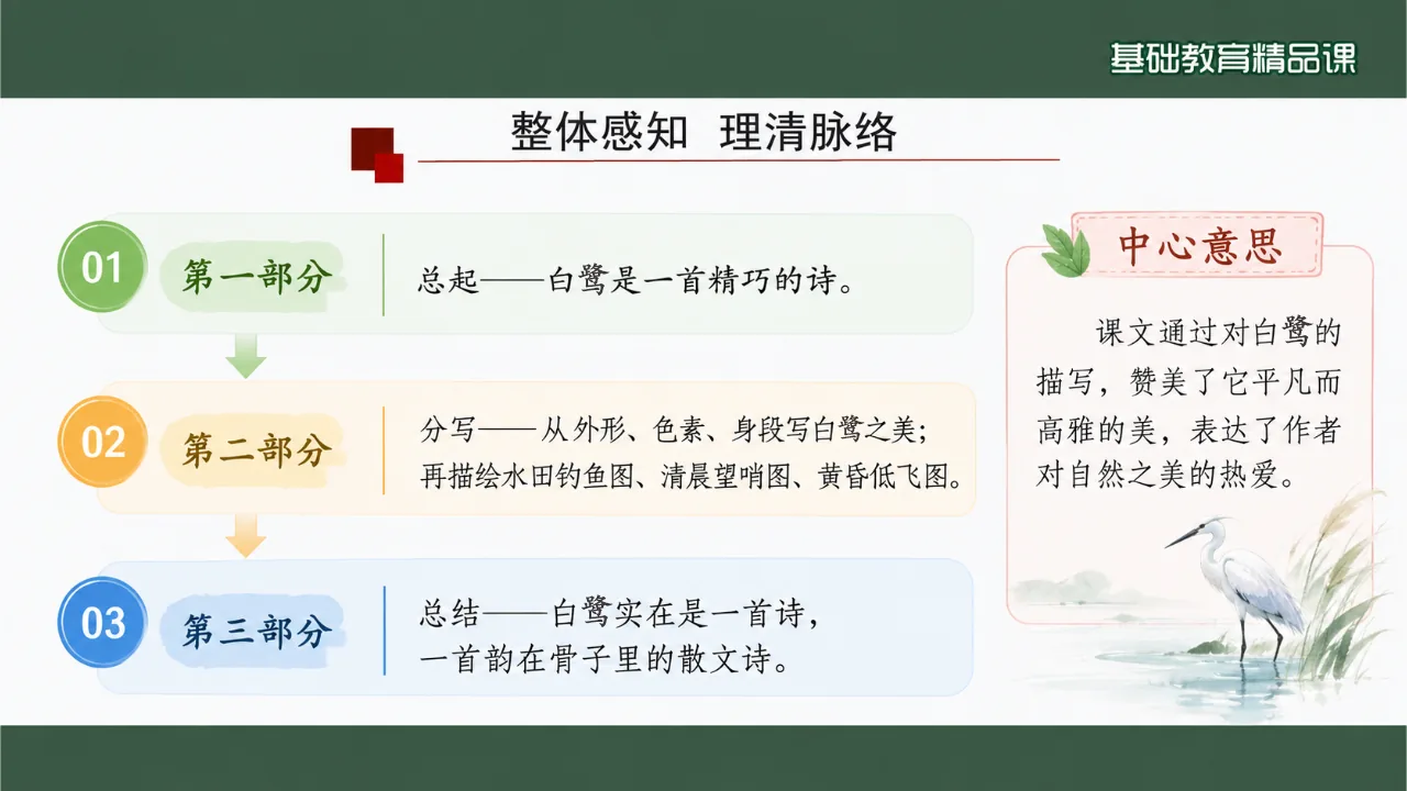 《白鹭》课件第6页缩略图