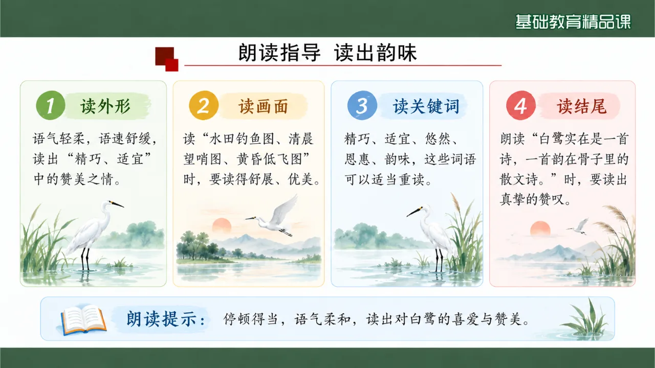 《白鹭》课件第7页缩略图