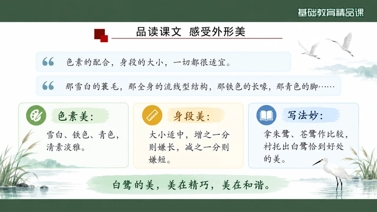 《白鹭》课件第8页缩略图